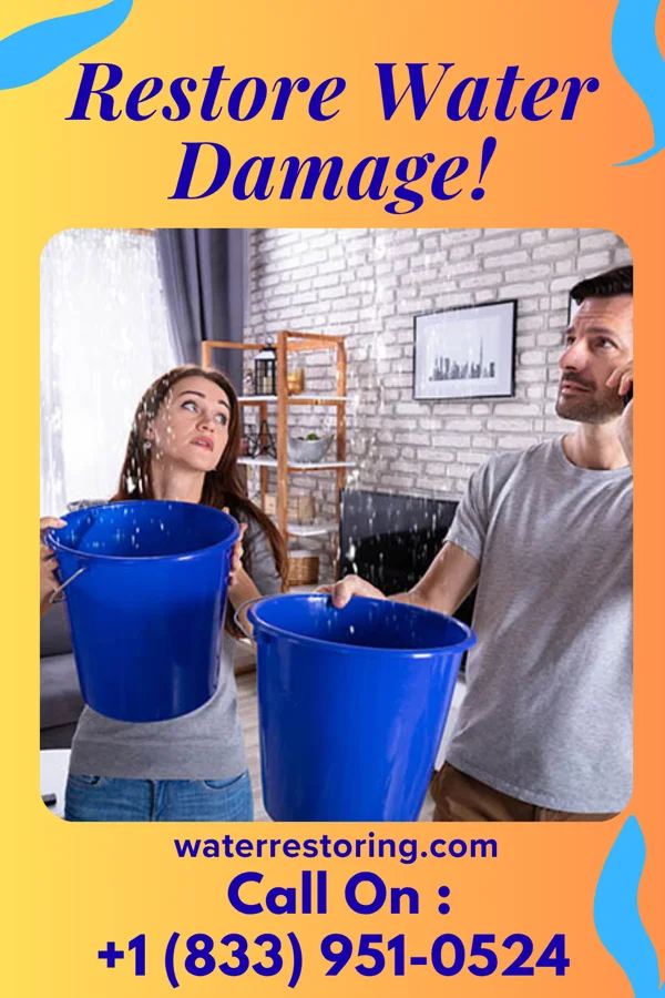 water restoration Express Flood Cleanup Solutions Bloomingville