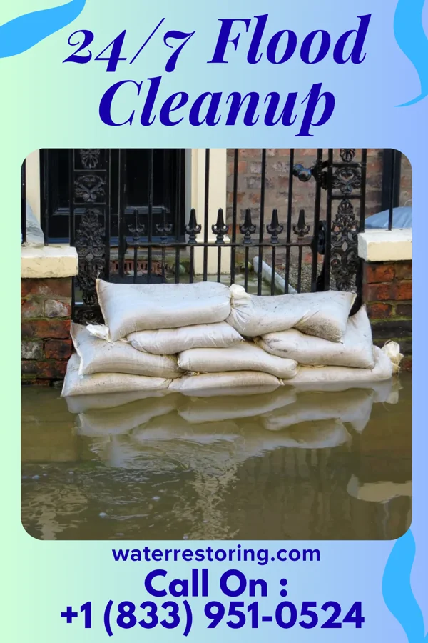 24/7 Flood Cleanup in Bloomingville, OH