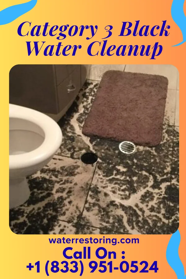 Category 3 Black Water Cleanup in Bloomingville, OH