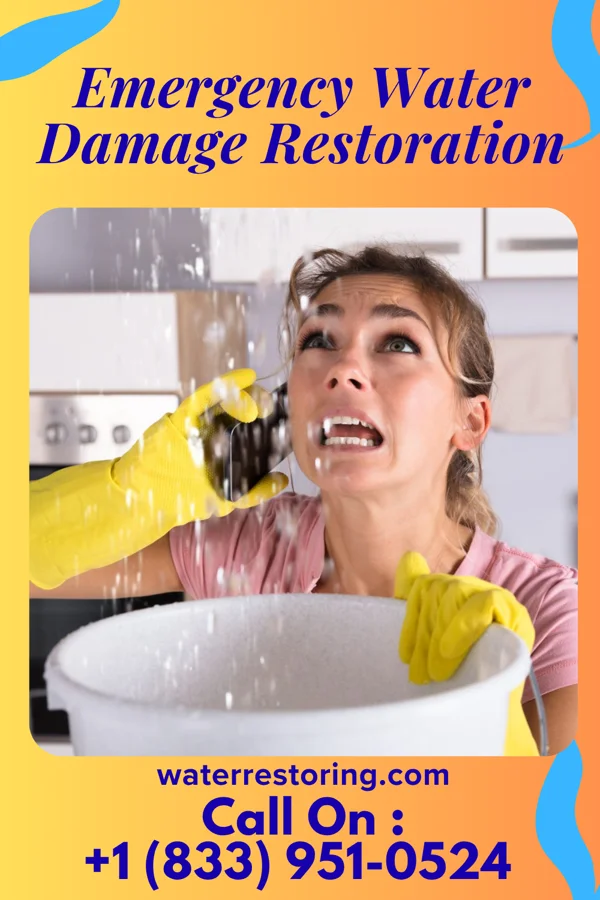 Emergency Water Damage Restoration in Bloomingville, OH