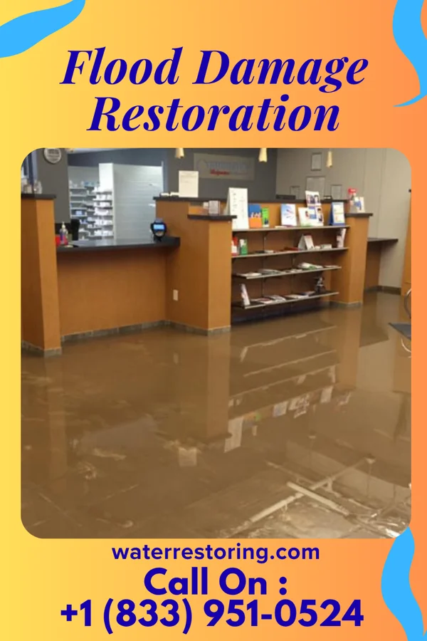 Flood Damage Restoration in Bloomingville, OH