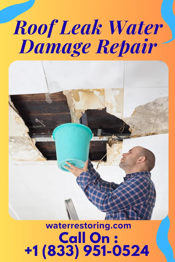 Roof Leak Water Damage Repair in Bloomingville, OH