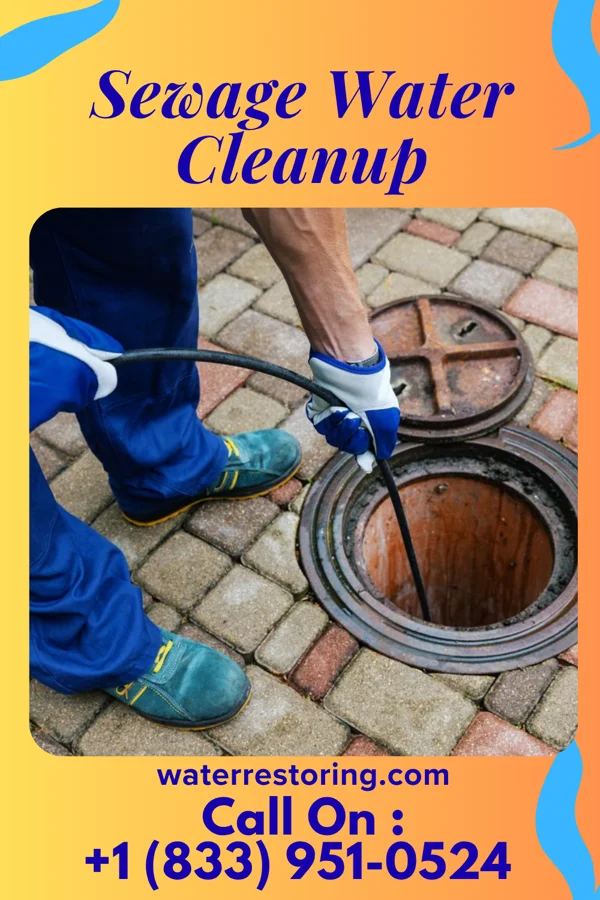Sewage Water Cleanup in Bloomingville, OH