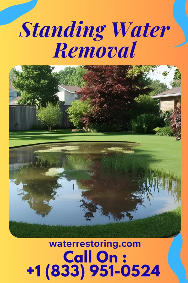 Standing Water Removal in Bloomingville, OH